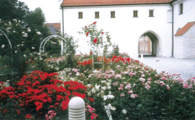 Anwendungsmöglichkeiten