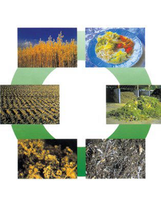  Die CMC-Kompostierung